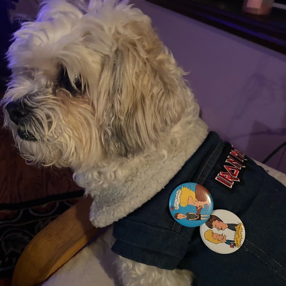 Meet your Posher, Bohemian Red Boutique ❤️ - Picture 6 of 8